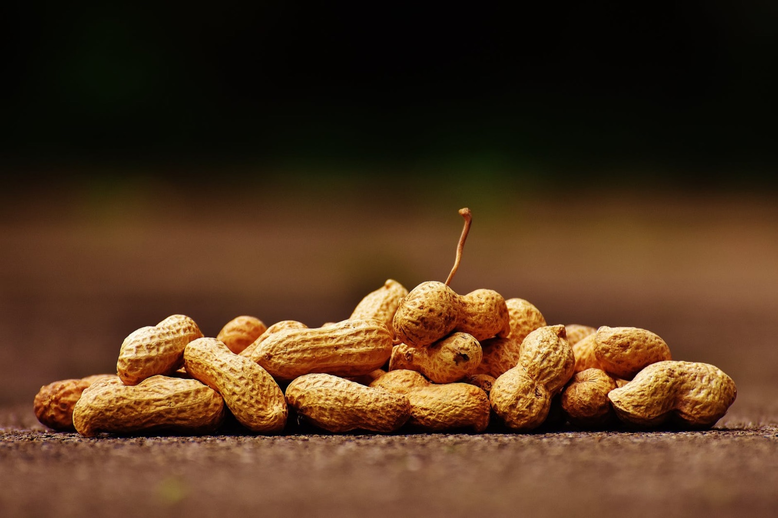 Nuts